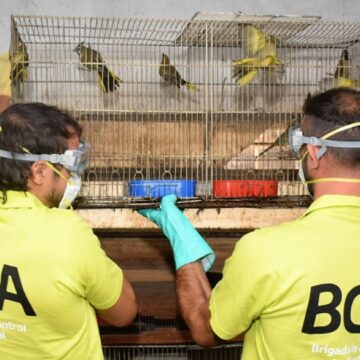 Cae una red de tráfico de fauna interprovincial