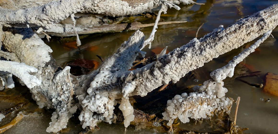 La magia del Lago Epecuén: Su costa se cubrió de sal por un raro fenómeno natural
