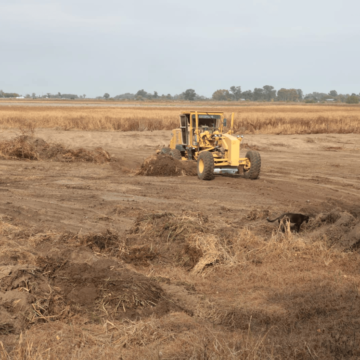 Desde el Municipio retoman trabajos en Laguna Mulitas