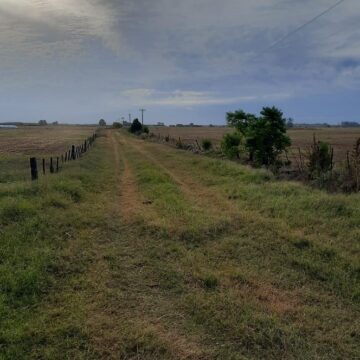 Ugarte: Desde la oposición solicitan la creación de una calle paralela para descomprimir el tránsito