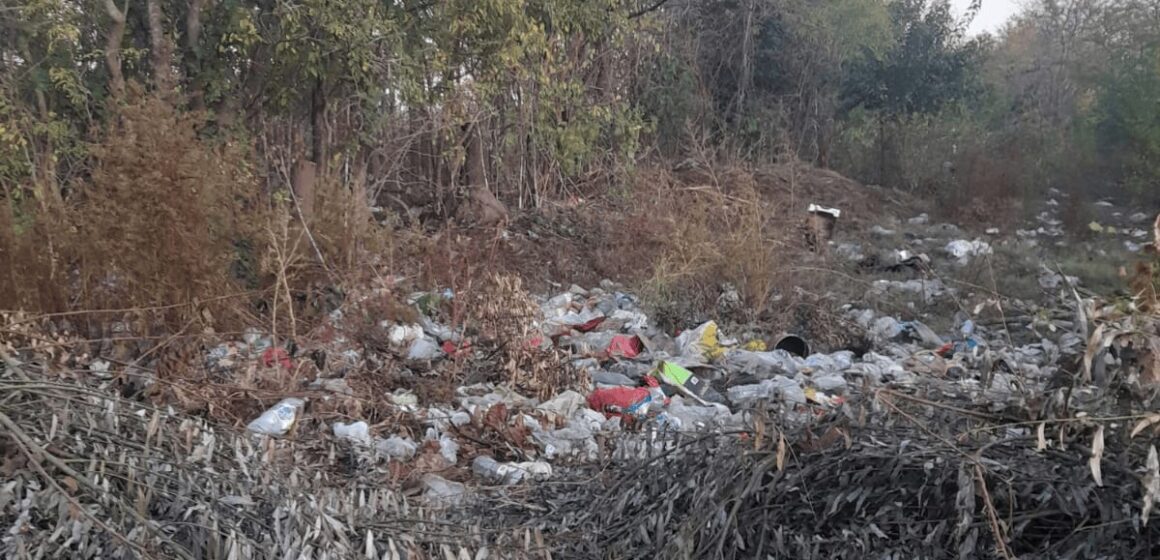 Una cuestión sanitaria: Vecino denuncia acumulación de basura en calles de 25 de Mayo