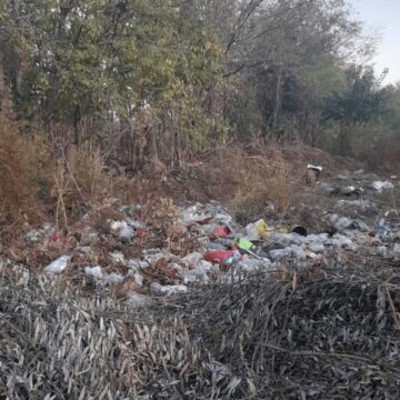 Una cuestión sanitaria: Vecino denuncia acumulación de basura en calles de 25 de Mayo