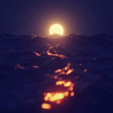 Literatura: Me metí en el mar después de cuatro meses