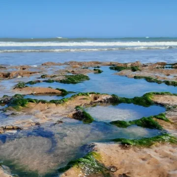 Mar, lagunas y museo a cielo abierto: un espléndido combo que ofrece San Cayetano