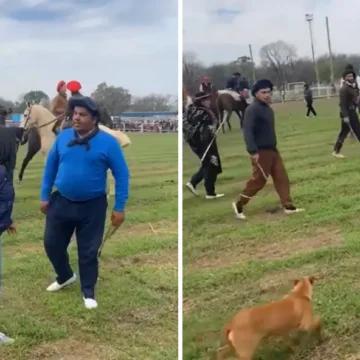 Grieta y violencia en jineteada: gauchos atacan con rebenques a proteccionistas