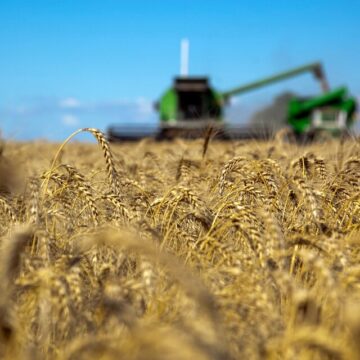 La Ley Ómnibus llega al congreso: enterate cómo impactará en el agro