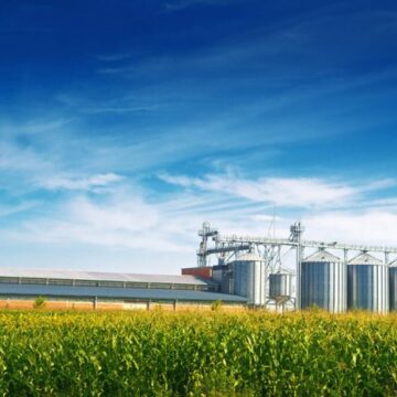 Dos de cada diez empleos en Argentina provienen de la agroindustria