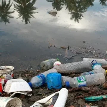 Nos merecemos sánguches de plástico, el atracón mortal.