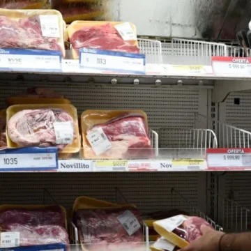 Aumenta el precio de la hacienda en cañuelas y ya se percibe en las carnicerías