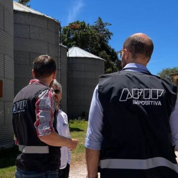 Acopio clandestino en Tres Arroyos: desde AFIP interdictaron más de 850 toneladas de granos