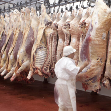 Posibilidad de nuevo mercado: Argentina busca exportar carne con hueso a Israel