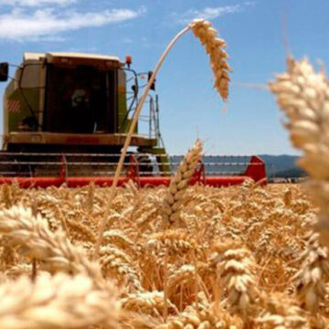 Cómo impactará la suba de combustibles en el campo