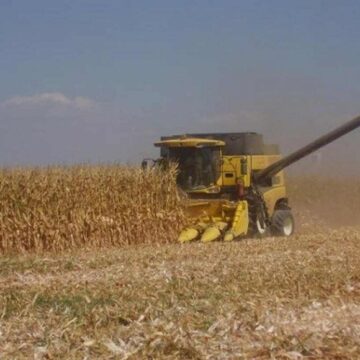 No sigue bien la cosa entre el campo y el gobierno de Milei: piden que bajen las retenciones