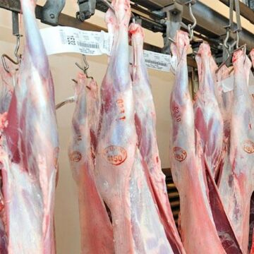 Certifican el primer envío de 19 toneladas de carne ovina a Qatar