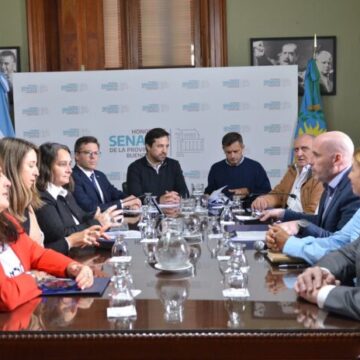 Cellillo solicita que Kicillof resuelva “la crisis del IOMA” antes de discutir la creación de empresas