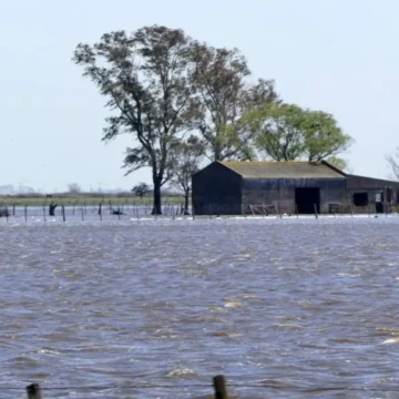 Pérdidas millonarias para el agro: casi 2 millones de hectáreas quedaron bajo el agua tras las lluvias en la provincia de Buenos Aires