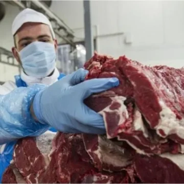 “Por cada kilo de carne nos estamos llevando un cuarto de impuestos”, revelan desde FADA