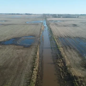 Junto a 11 municipios bonaerenses, 25 de Mayo entró en la emergencia agropecuaria declarada por el gobierno nacional