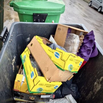 IMG_2775 Mariana Fumarco