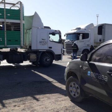 WhatsApp Image 2025-10-23 at 08.06.01 senasa