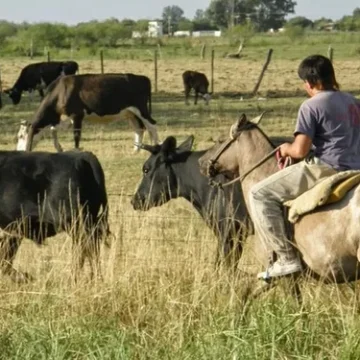 UATRE y CNTA definieron nuevas escalas salariales para el personal rural permanente