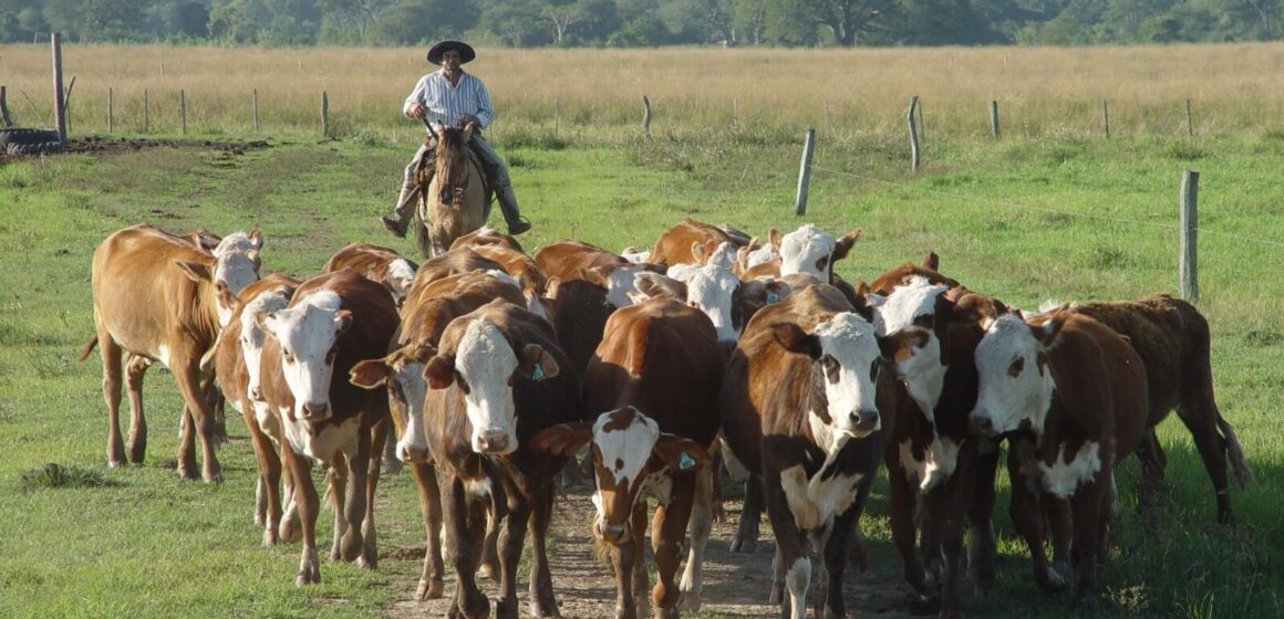 Día del Trabajador Rural: historia y presente de quienes sostienen el campo