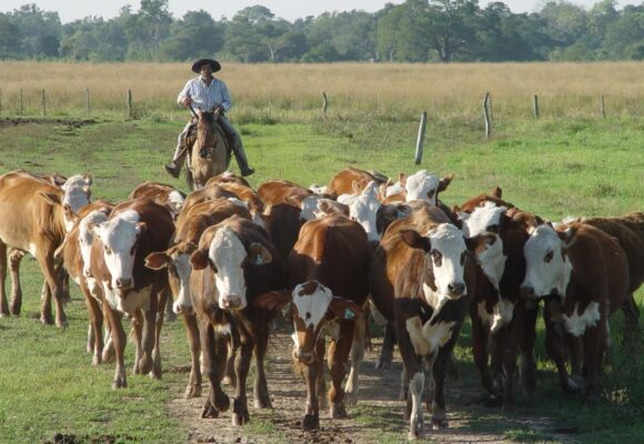 Día del Trabajador Rural: historia y presente de quienes sostienen el campo
