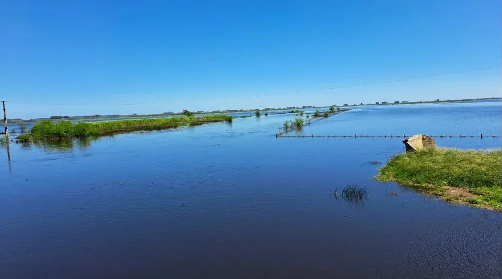 1762378210 Vallimanca Bolívar