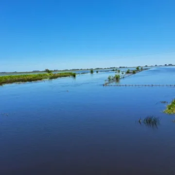 1762378210 Vallimanca Bolívar