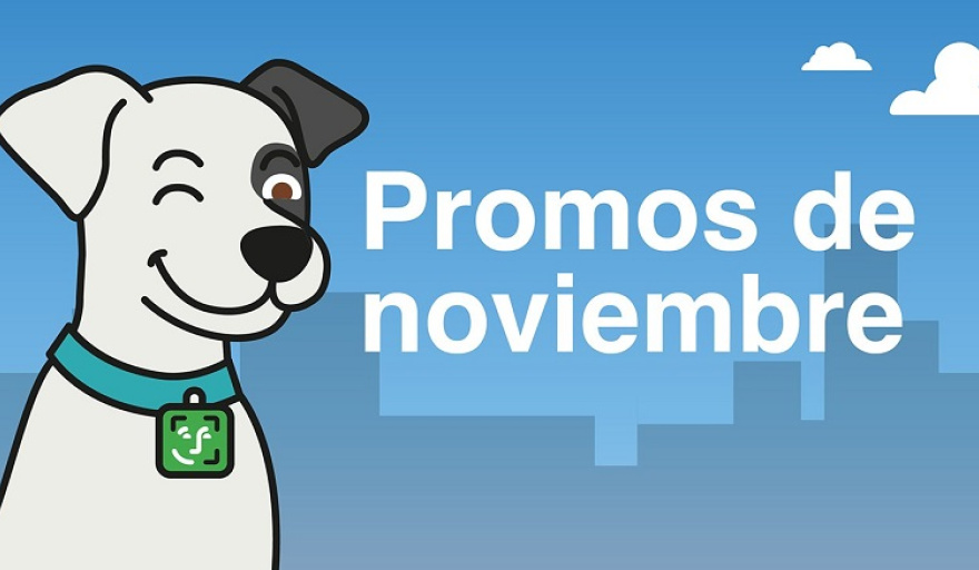 20251031180223_cuenta-dni-banco-provincia-noviembre Banco Provincia anunció nuevos descuentos con Cuenta DNI durante noviembre