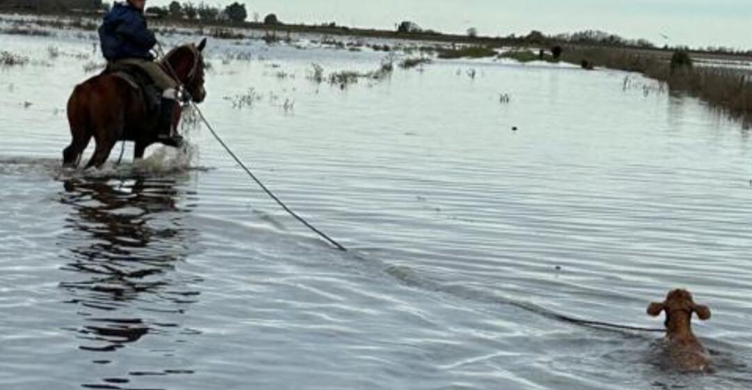 Alberto Larrañaga, Río Salado