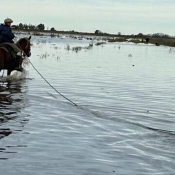 WhatsApp Image 2025-11-22 at 08.20.32 Alberto Larrañaga, Río Salado