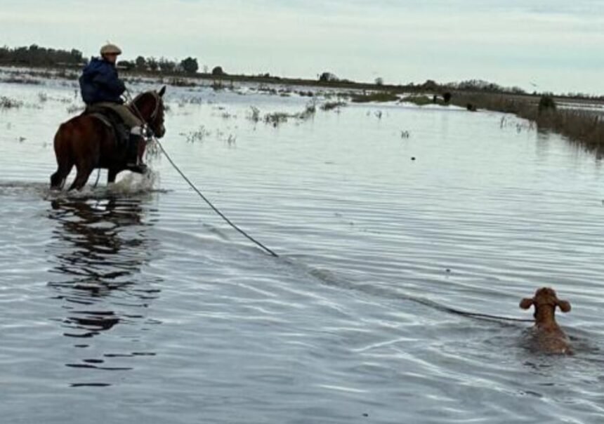 Alberto Larrañaga, Río Salado