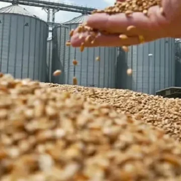 fadaexportacionesagro2-201016 agro exportacion