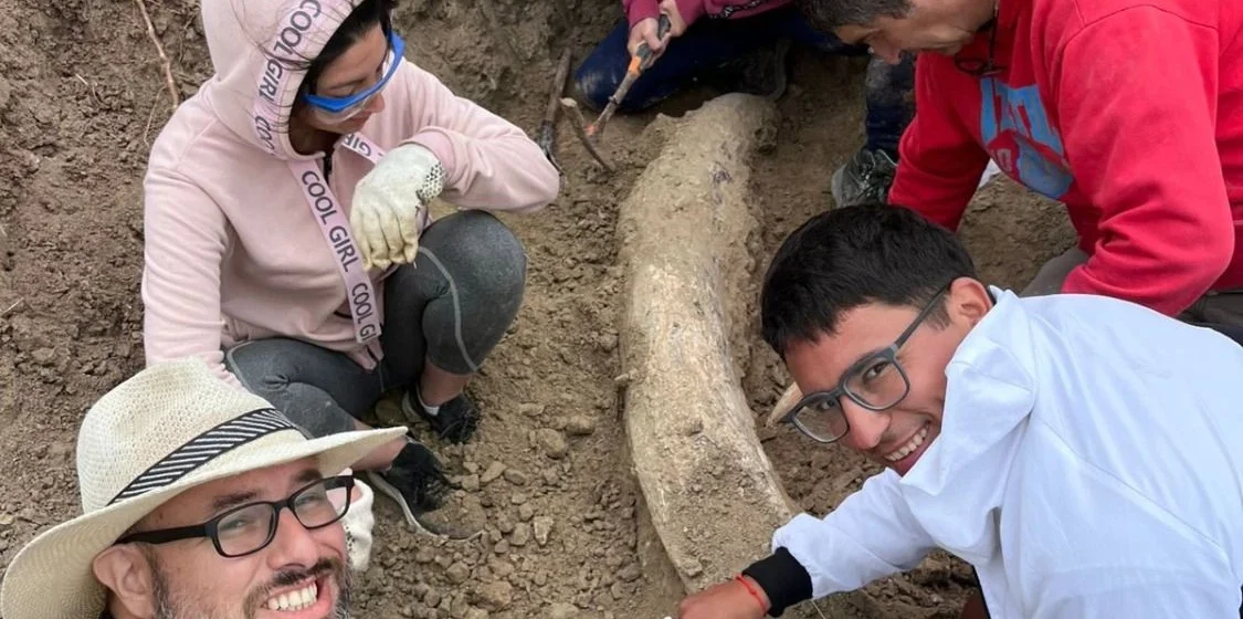 luciana villafañe luciana villafañe