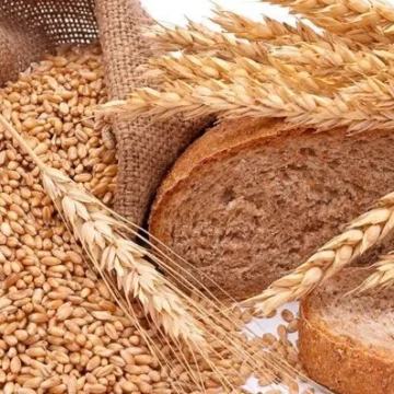 trigo pan