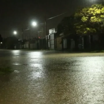 El temporal que atravesó la región este martes dejó una marca profunda en las ciudades de Coronel Suárez y Tres Arroyos