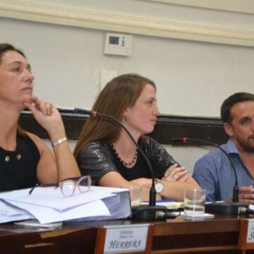 acción ciudadana HCD 25 DE MAYO