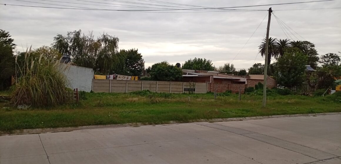 Leo Baldo salud mental 25 de mayo bs as