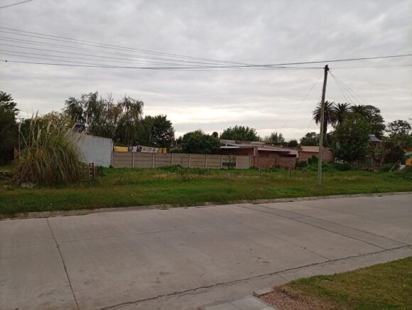 Leo Baldo salud mental 25 de mayo bs as