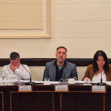 Una red para las juventudes: el HCD aprobó la creación de una Mesa de Abordaje Integral