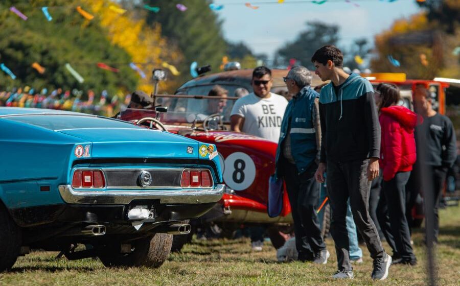 retro tapa polvaredas polvaredas