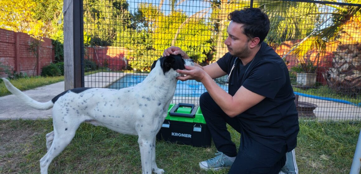 Matías Muñoz: el veterinario que apuesta al servicio a domicilio para el cuidado integral de las mascotas