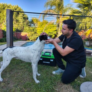 Matías Muñoz: el veterinario que apuesta al servicio a domicilio para el cuidado integral de las mascotas