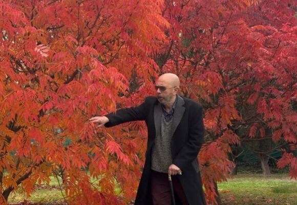 El último abrazo del otoño