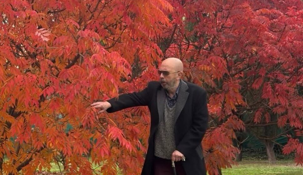 720100578_18010452839927414_5844089717302949276_n El último abrazo del otoño