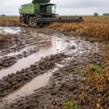 cosecha-soja-barro-campo-lluvias-argentina-ruralnet El agua metió la cola en el inicio de la fina y la soja se despide con los bolsillos llenos