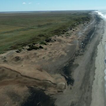 Investigadores del CONICET buscan tierras raras en paleocostas bonaerenses