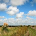 Comunidad Rural Inmobiliaria inversiones del campo en desarrollos urbanos