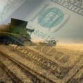 La agroexportación aportó casi US$ 2.900 millones en julio: por qué la caída interanual no enciende alarmas en el sector